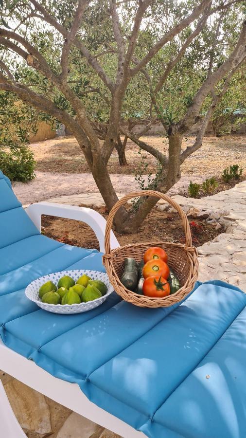 Villa Bubica- Cozy Holiday Home In Rural Area With Pool Stankovci  ภายนอก รูปภาพ